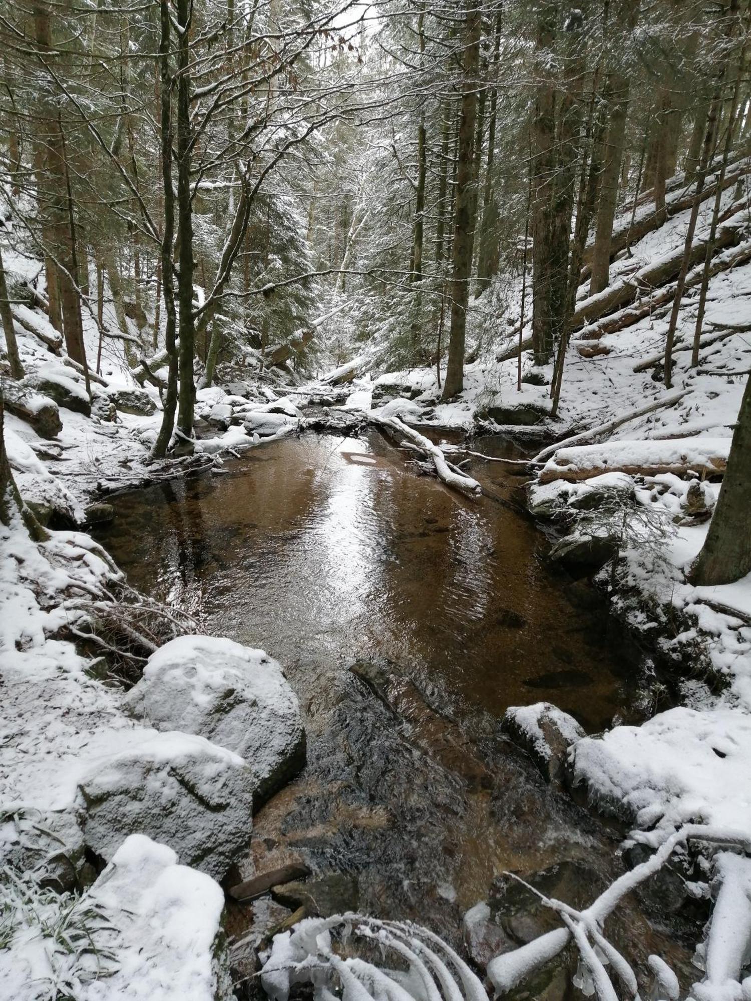 Blackforest Perla Höchenschwand Eksteriør bilde